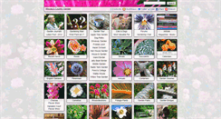 Desktop Screenshot of mooseyscountrygarden.com